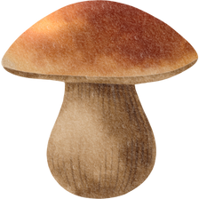 Mushroom Watercolor Illustration